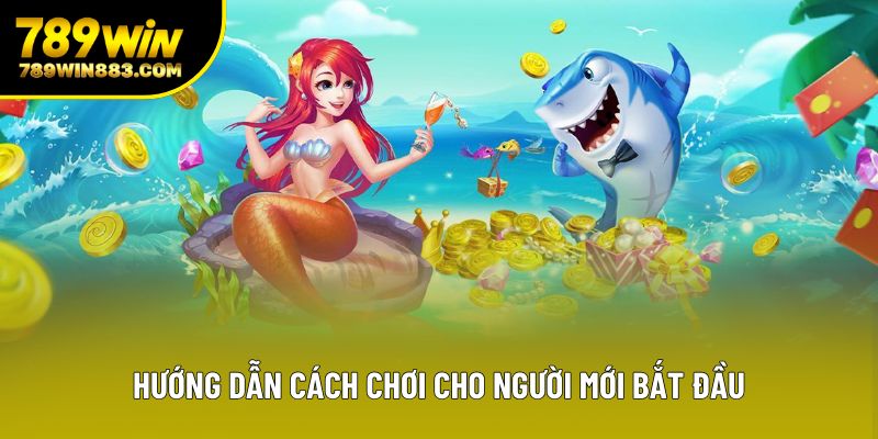 Hướng dẫn cách chơi cho người mới bắt đầu