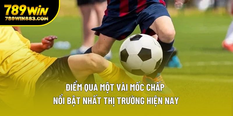 Điểm qua một vài mốc chấp nổi bật nhất thị trường hiện nay Điểm qua một vài mốc chấp nổi bật nhất thị trường hiện nay