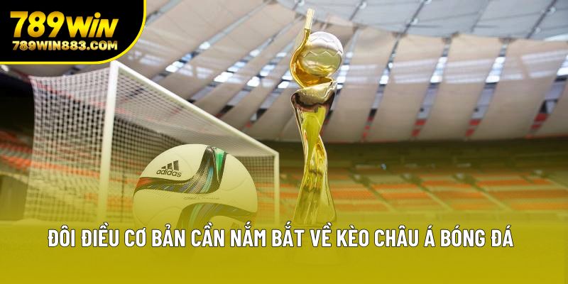 Đôi điều cơ bản cần nắm bắt về kèo châu Á bóng đá Đôi điều cơ bản cần nắm bắt về kèo châu Á bóng đá