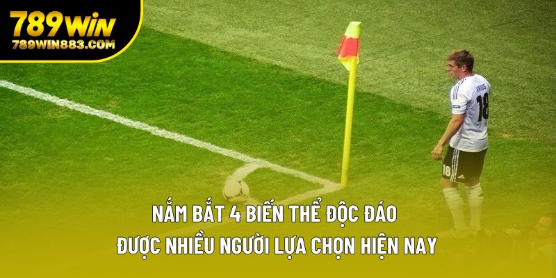 Nắm bắt 4 biến thể độc đáo, được nhiều người lựa chọn hiện nay