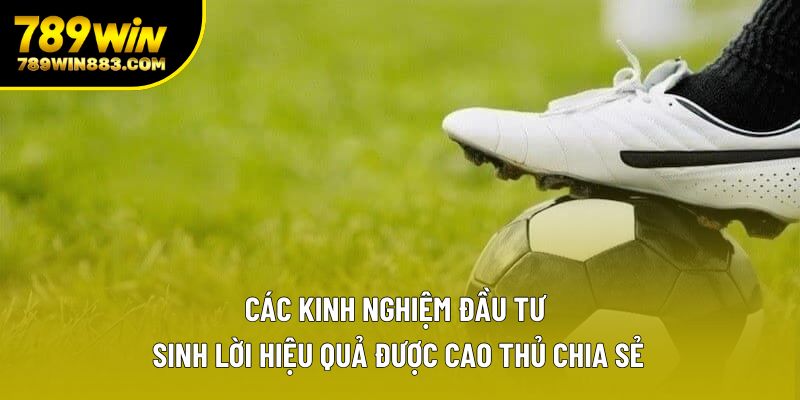 Các kinh nghiệm đầu tư sinh lời hiệu quả được cao thủ chia sẻ Các kinh nghiệm đầu tư sinh lời hiệu quả được cao thủ chia sẻ