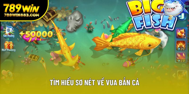 Tìm hiểu sơ nét về vua bắn cá Tìm hiểu sơ nét về vua bắn cá